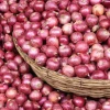 Onion Prices Soar from Tk 70 to Tk 120 in a Week